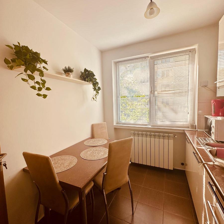 Sweet Apartament Nagybánya Kültér fotó